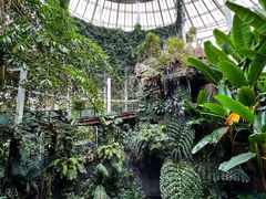 -昆明植物园