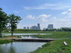 -洋湖国家湿地公园