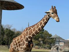 -宁波野生动物园