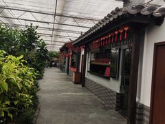 -南宫五洲植物乐园