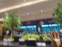 -锦粤宫·精致粤菜(深圳北站店)