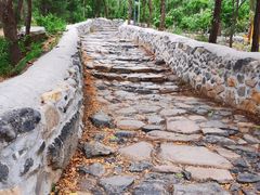 -阳台山自然风景区