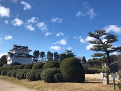 -名古屋城