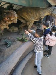 点击看大图 -宝燕乐园(闵行旗舰店)