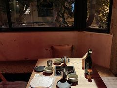 -毛辣果·酸