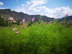 -可可托海景区