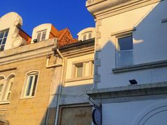 -世界之窗阿尔卑斯冰雪世界