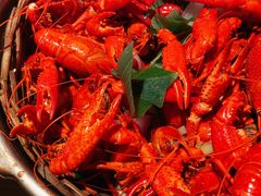 -蚝翅·海鲜粥·烧烤·宁夏滩羊季(玉米楼店)