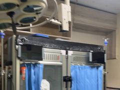 -半岛宠物医院24小时(白果林店)