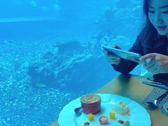 -海棠湾洲际-涛·海底餐厅·美人鱼·自助餐·海底隧道