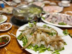 -金砂阿洲鱼册店