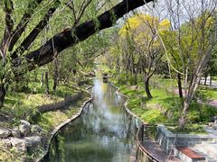 -北坞公园