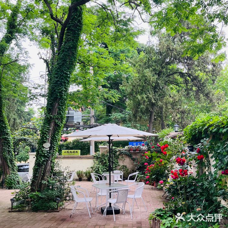 青岛老巷里的咖啡时光|藏在街角的 莫奈花园 咖啡馆