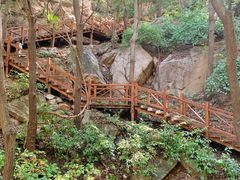 -大岭沟猕猴桃谷风景区