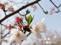 -堤角公园