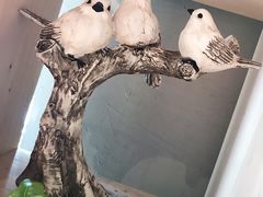 -ZING COFFEE 镜咖啡