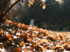 -西安市长乐公园