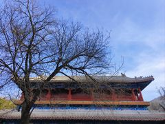 -潭柘寺景区