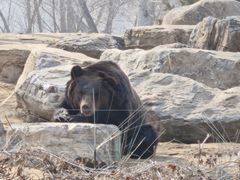 -北京野生动物园