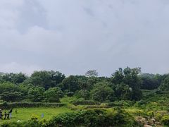 -巢湖姥山岛