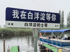 -白洋淀景区