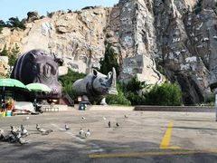 -西霞口神雕山野生动物世界