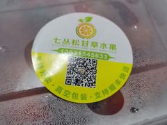 -老炳·七丛松甘草水果