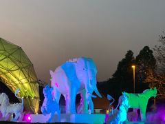 -清迈夜间动物园