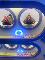 -MINI MARS KIDS CLUB亲子家庭中心(长宁天山店)