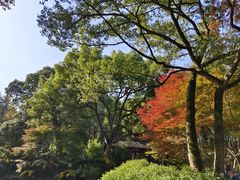 -杭州植物园