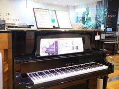 -柏斯琴行(汾阳店)