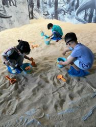 -恐龙探索乐园(磁器口店)