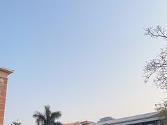 -灵玲国际马戏城
