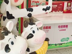 -心乐生活新鲜屋(星海广场店)