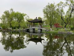 -武汉园博园(武汉自然博物馆)