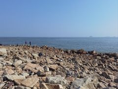 -野狸岛
