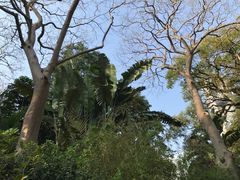 -九龙公园