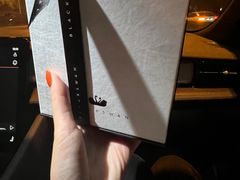-BLACKSWAN黑天鹅(环球店)