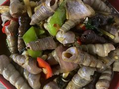 -正宗南铁拉叔沙煲螺·烧烤·秘制靓粥(南铁总店)
