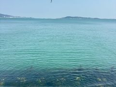-悦海公园