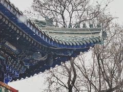 -白塔山公园