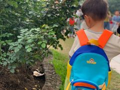 -人民公园(罗湖区)