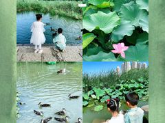 -前关湿地公园