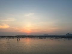 -红树林天天赶海