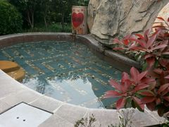 -金孔雀温泉旅游度假村