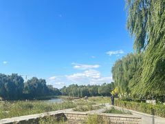 -中关村生命科学园