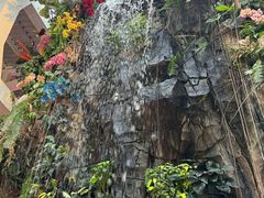 -正佳雨林生态植物园