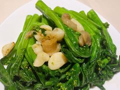 -琥珀·原创臻选店(维家思店)