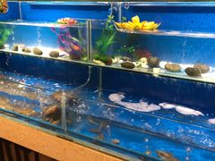 水产区-芭菲盛宴·环球美食(锦城万达广场店)