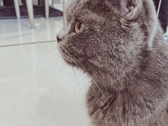 -平行世界·猫咖(首经贸店)